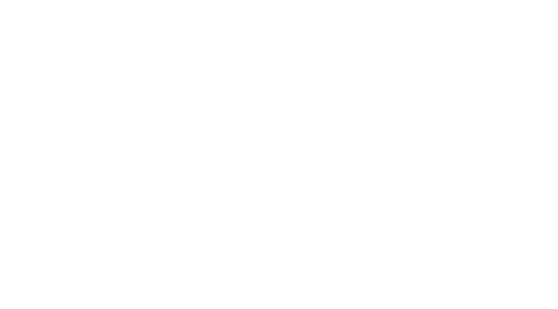 Webservice Meier
